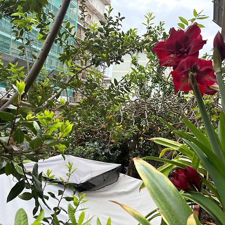 Penelope B&B 巴勒莫 外观 照片