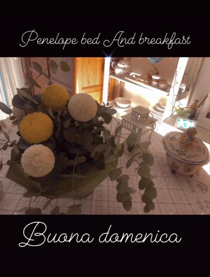 Penelope B&B 巴勒莫 外观 照片